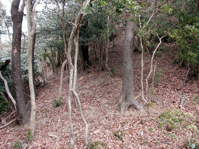 bizan-08.jpg