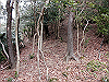 bizan-08_thumb.png