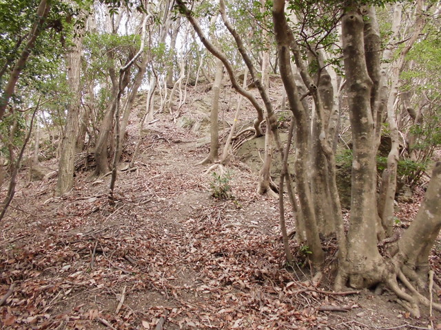 bizan-09.jpg