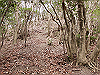 bizan-09_thumb.png