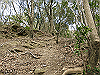 bizan-10_thumb.png
