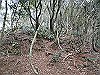 bizan-11_thumb.png
