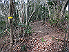 bizan-14_thumb.png