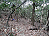 bizan-17_thumb.png