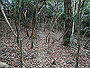 bizan-19_thumb.png