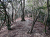 bizan-21_thumb.png