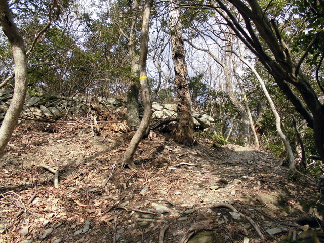 bizan-25.jpg