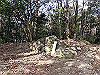 bizan-26_thumb.png