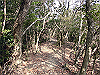 bizan-27_thumb.png