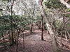 bizan-28_thumb.png