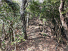 bizan-32_thumb.png