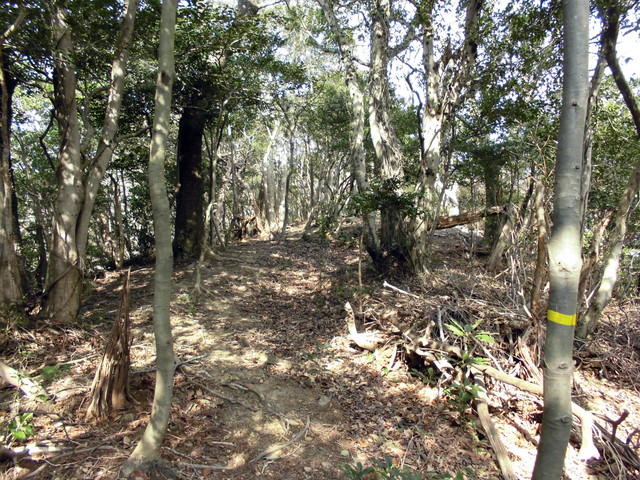 bizan-33.jpg