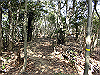 bizan-33_thumb.png