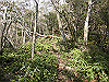 bizan-34_thumb.png