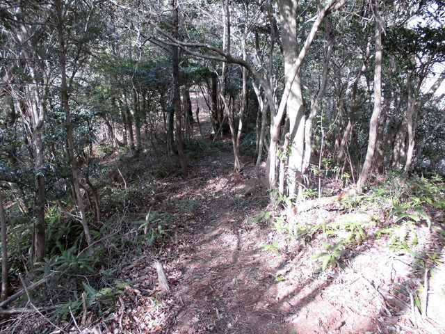 bizan-37.jpg