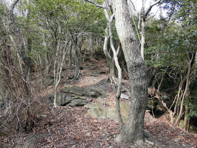 bizan-38.jpg