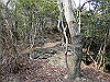 bizan-38_thumb.png