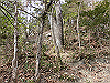 bizan-39_thumb.png