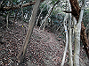 bizan-41_thumb.png