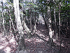 bizan-42_thumb.png