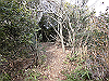 bizan-44_thumb.png
