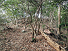 bizan-47_thumb.png
