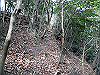 bizan-48_thumb.png