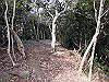 bizan-50_thumb.png