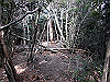 bizan-51_thumb.png