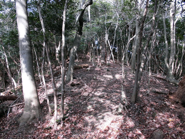 bizan-52.jpg
