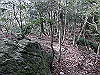 bizan-55_thumb.png