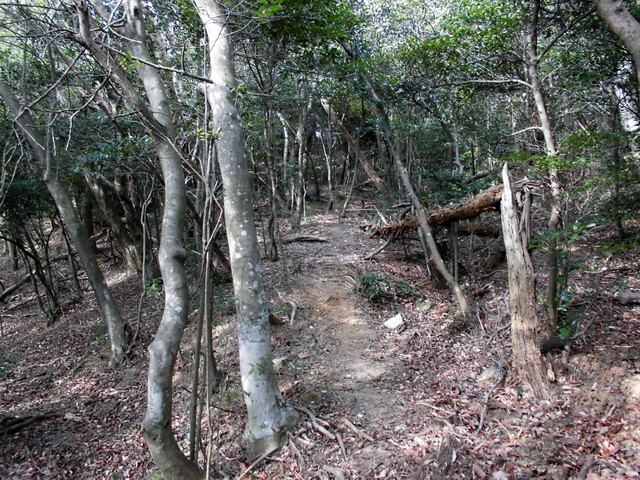 bizan-57.jpg