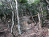 bizan-57_thumb.png