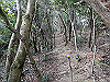 bizan-58_thumb.png