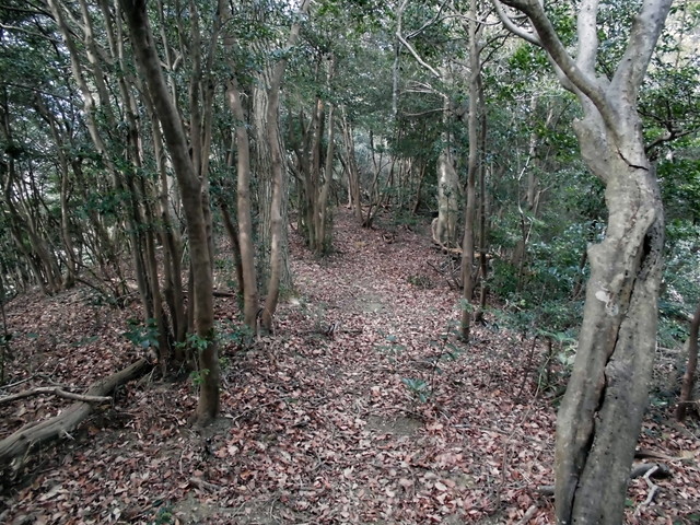 bizan-60.jpg
