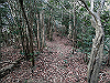 bizan-60_thumb.png