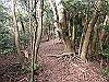 bizan-61_thumb.png