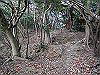 bizan-62_thumb.png