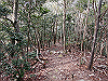 bizan-64_thumb.png