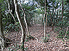 bizan-65_thumb.png