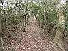 bizan-66_thumb.png