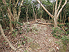 bizan-67_thumb.png