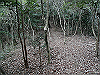 bizan-68_thumb.png