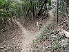 bizan-72_thumb.png