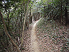 bizan-73_thumb.png
