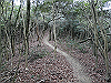 bizan-75_thumb.png