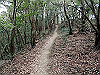 bizan-77_thumb.png