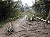bizan-79_thumb.png