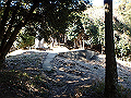 bizan1020_thumb.png