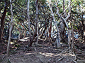 bizan1025_thumb.png